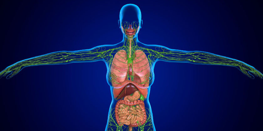 Blood and Lymphatic System Disorders