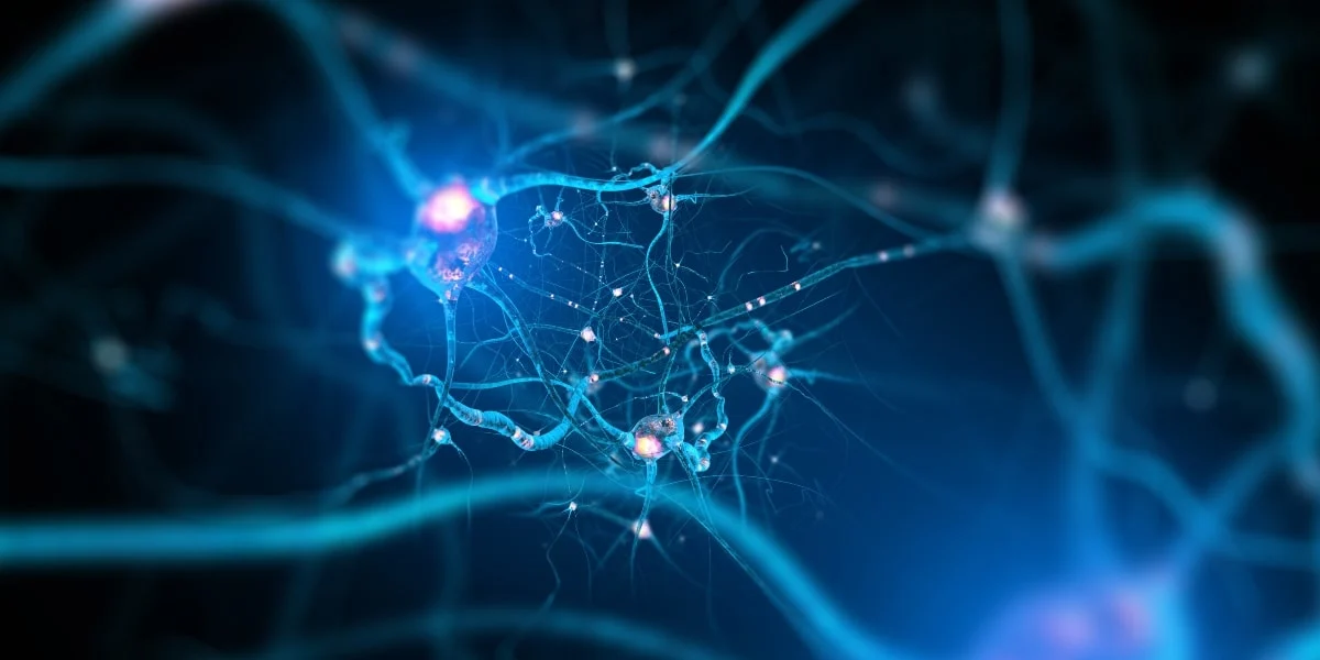 The Best Natural Remedies for Nerve Regeneration and Repair