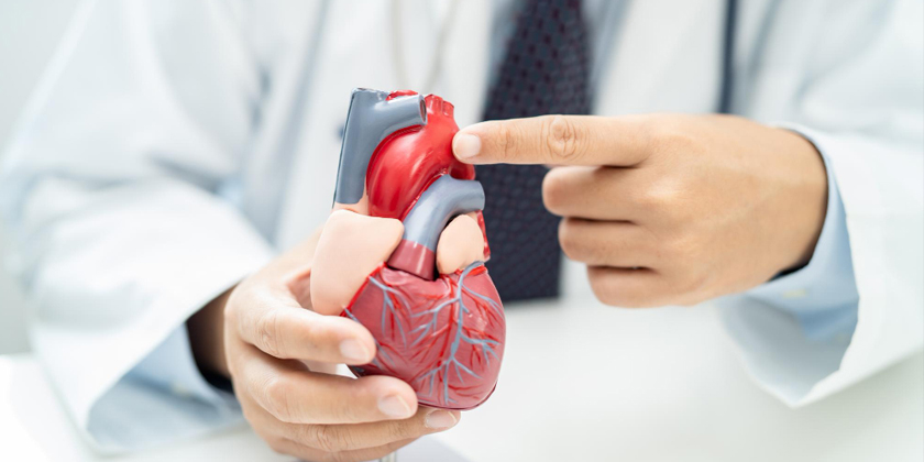 7 Easy Ways to Prevent Heart Disease: Take Care of Your Heart