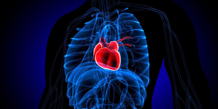 Heart Health Myths Debunked: Expert Prevention Tips